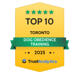 Top 10 Toronto. TrustAnalytica